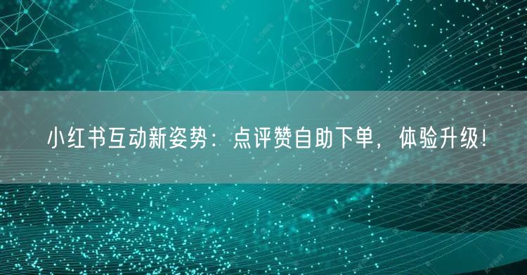 小红书互动新姿势：点评赞自助下单，体验升级！