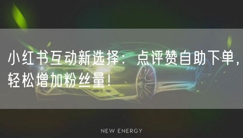 小红书互动新选择:点评赞自助下单,轻松增加粉丝量!