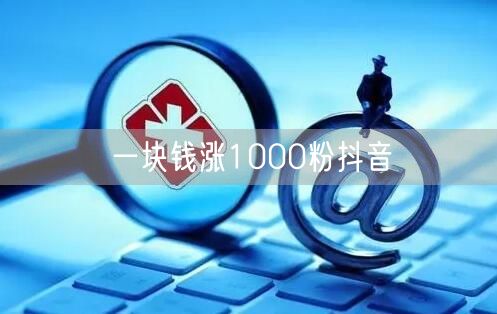 一块钱涨1000粉抖音