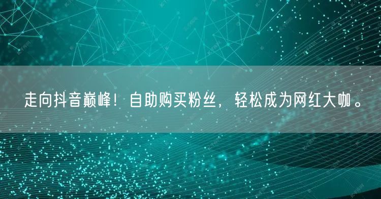 走向抖音巅峰！自助购买粉丝，轻松成为网红大咖。