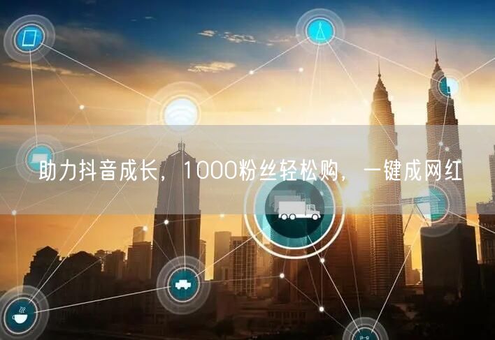助力抖音成长，1000粉丝轻松购，一键成网红