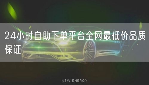 24小时自助下单平台全网最低价品质保证