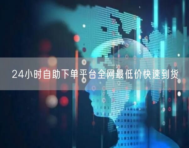 24小时自助下单平台全网最低价快速到货