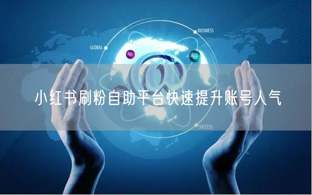 小红书刷粉自助平台快速提升账号人气