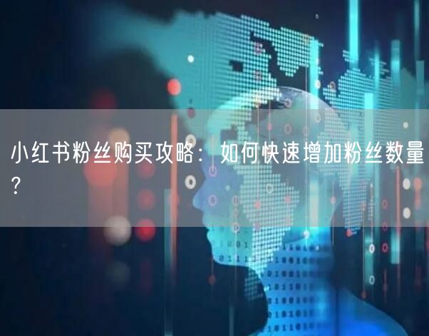 小红书粉丝购买攻略：如何快速增加粉丝数量？
