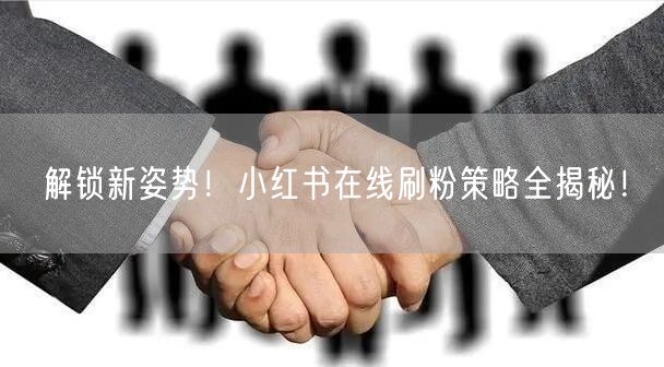 解锁新姿势！小红书在线刷粉策略全揭秘！