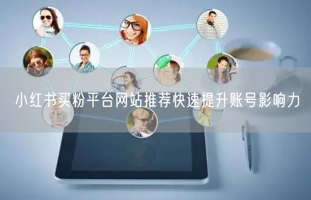 小红书买粉平台网站推荐快速提升账号影响力