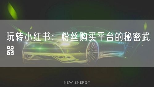 玩转小红书：粉丝购买平台的秘密武器
