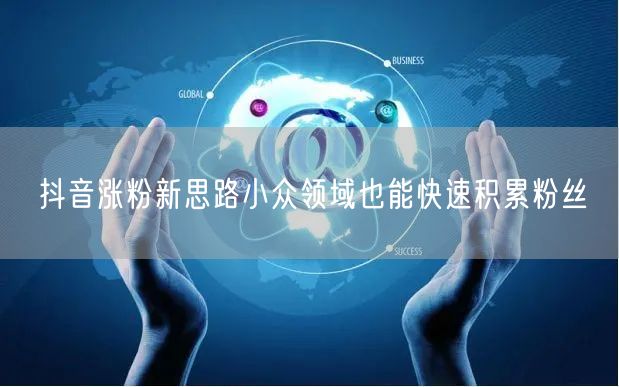 抖音涨粉新思路小众领域也能快速积累粉丝