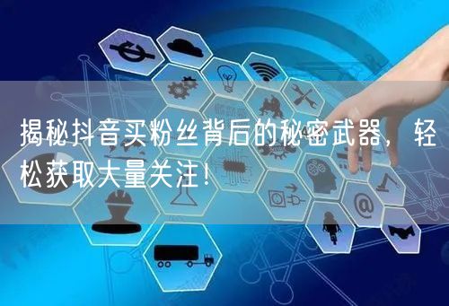 揭秘抖音买粉丝背后的秘密武器,轻松获取大量关注!