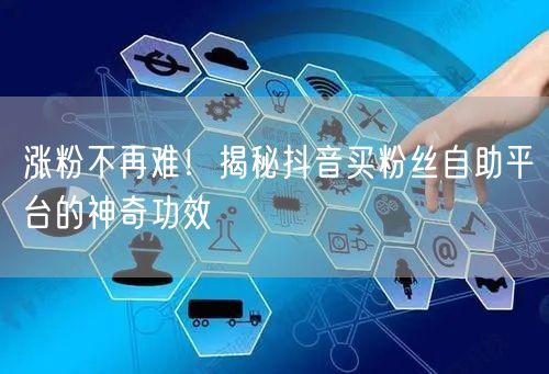 涨粉不再难!揭秘抖音买粉丝自助平台的神奇功效