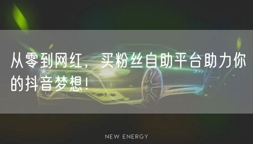 从零到网红,买粉丝自助平台助力你的抖音梦想!
