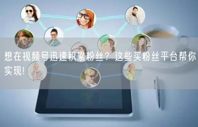想在视频号迅速积累粉丝?这些买粉丝平台帮你实现!