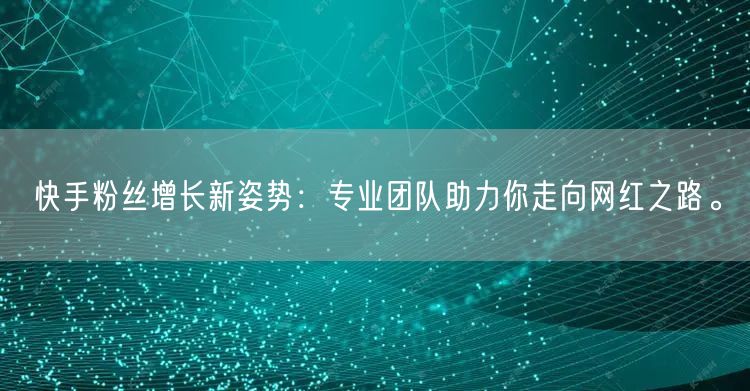 快手粉丝增长新姿势：专业团队助力你走向网红之路。