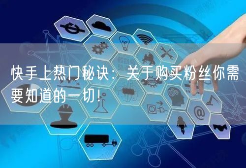快手上热门秘诀：关于购买粉丝你需要知道的一切！