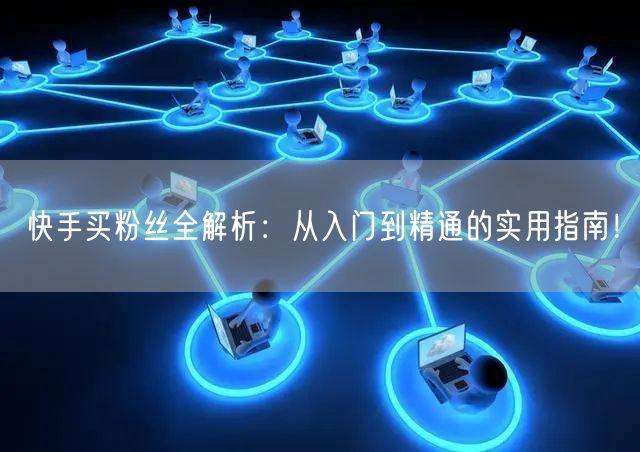 快手买粉丝全解析：从入门到精通的实用指南！