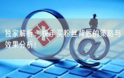 独家解析：快手买粉丝背后的策略与效果分析！