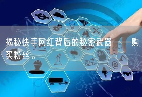 揭秘快手网红背后的秘密武器——购买粉丝。