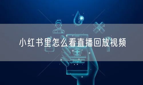 小红书里怎么看直播回放视频
