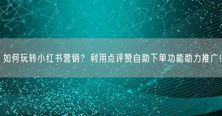如何玩转小红书营销？利用点评赞自助下单功能助力推广！