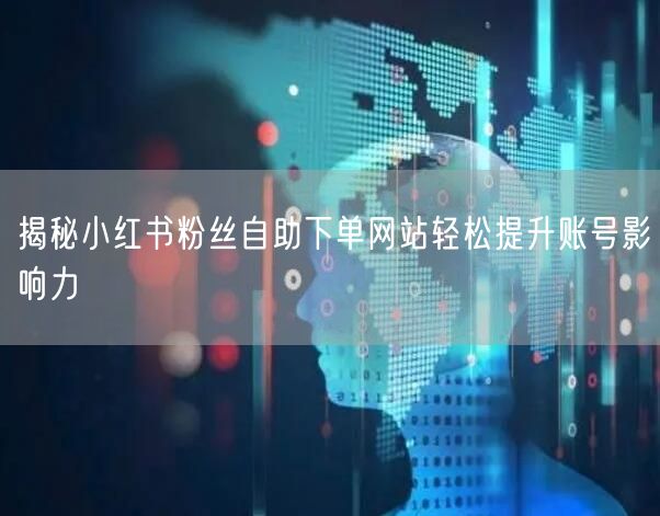 揭秘小红书粉丝自助下单网站轻松提升账号影响力