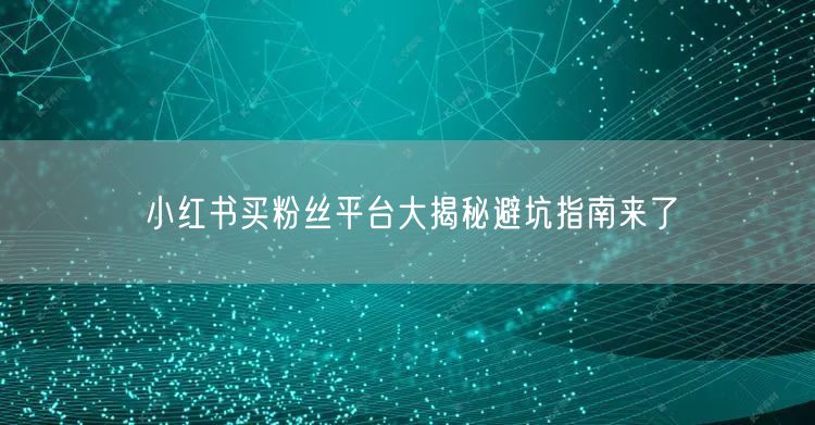 小红书买粉丝平台大揭秘避坑指南来了