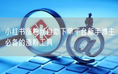 小红书涨粉丝自助下单平台新手博主必备的涨粉工具