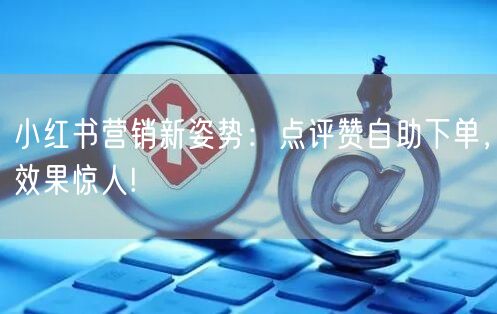 小红书营销新姿势：点评赞自助下单，效果惊人!