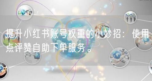 提升小红书账号权重的小妙招：使用点评赞自助下单服务。