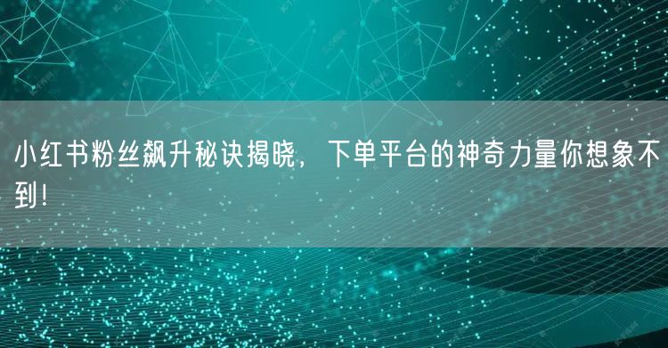 小红书粉丝飙升秘诀揭晓，下单平台的神奇力量你想象不到！