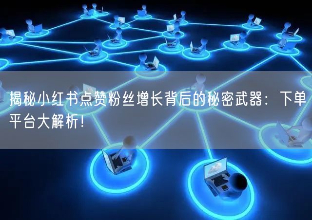 揭秘小红书点赞粉丝增长背后的秘密武器：下单平台大解析！