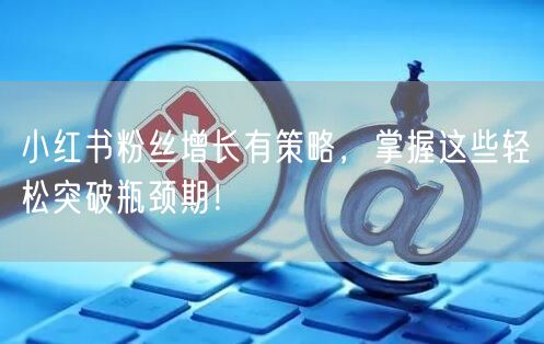 小红书粉丝增长有策略,掌握这些轻松突破瓶颈期!