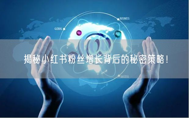 揭秘小红书粉丝增长背后的秘密策略!