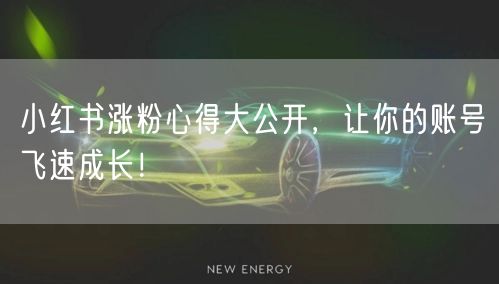 小红书涨粉心得大公开,让你的账号飞速成长!