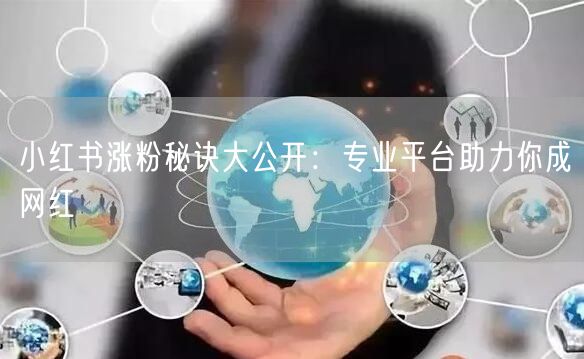 小红书涨粉秘诀大公开:专业平台助力你成网红