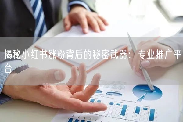 揭秘小红书涨粉背后的秘密武器:专业推广平台