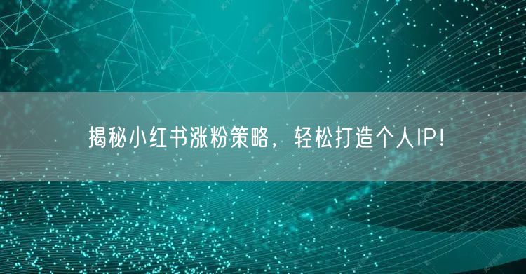 揭秘小红书涨粉策略,轻松打造个人IP!