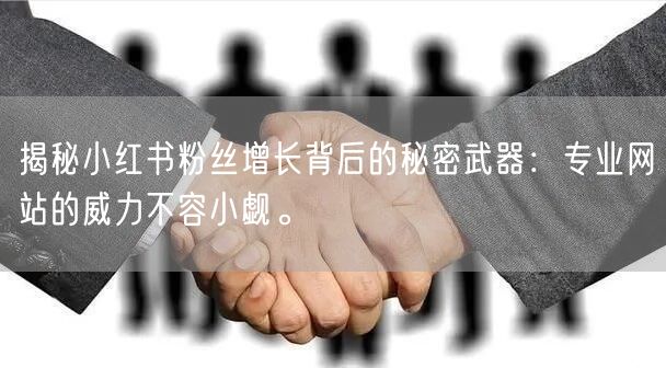 揭秘小红书粉丝增长背后的秘密武器：专业网站的威力不容小觑。