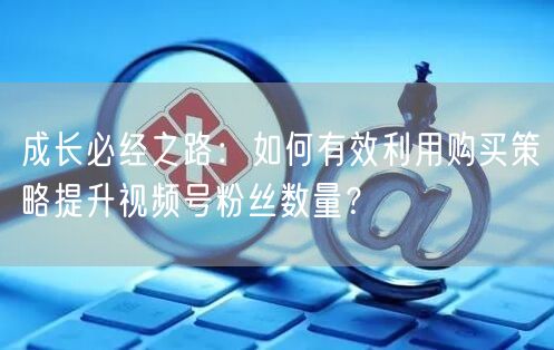 成长必经之路：如何有效利用购买策略提升视频号粉丝数量？