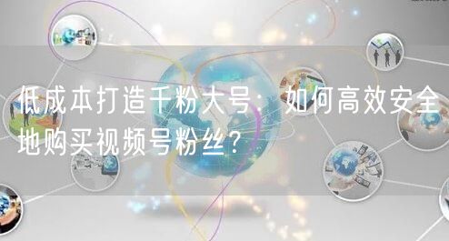 低成本打造千粉大号：如何高效安全地购买视频号粉丝？