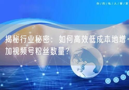 揭秘行业秘密：如何高效低成本地增加视频号粉丝数量？