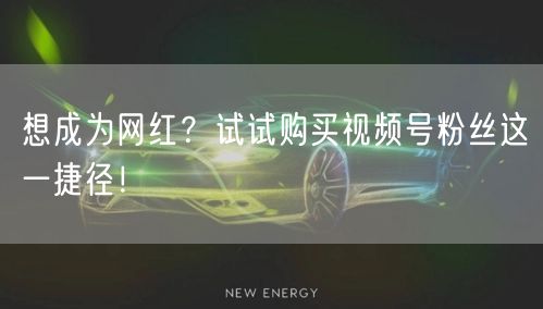 想成为网红？试试购买视频号粉丝这一捷径！
