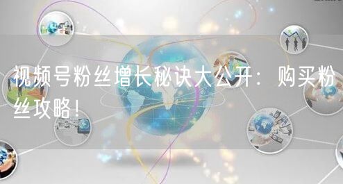 视频号粉丝增长秘诀大公开：购买粉丝攻略！