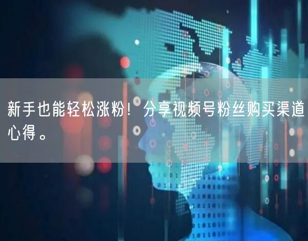 新手也能轻松涨粉!分享视频号粉丝购买渠道心得。