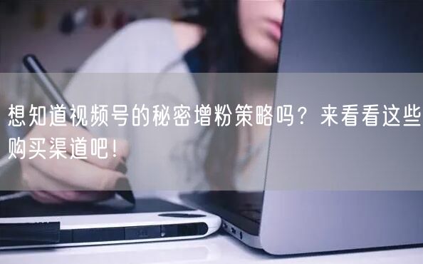 想知道视频号的秘密增粉策略吗?来看看这些购买渠道吧!