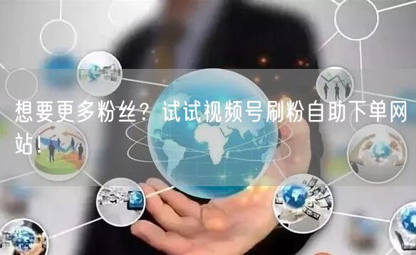 想要更多粉丝？试试视频号刷粉自助下单网站！