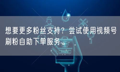 想要更多粉丝支持？尝试使用视频号刷粉自助下单服务。