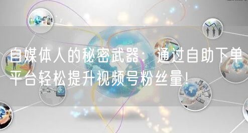 自媒体人的秘密武器:通过自助下单平台轻松提升视频号粉丝量!