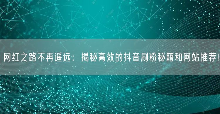 网红之路不再遥远：揭秘高效的抖音刷粉秘籍和网站推荐！