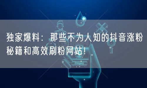 独家爆料：那些不为人知的抖音涨粉秘籍和高效刷粉网站！